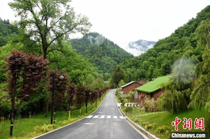 九寨溝熊貓園外景?！【耪瘻峡h委宣傳部提供 攝