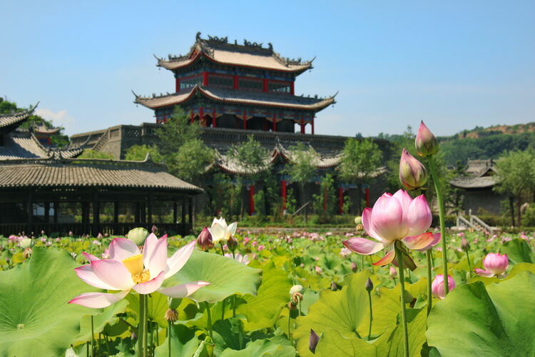 【云游渭南】心中若有桃花源，此處便是水云間！待疫情散盡，一起來(lái)渭南桃花源賞美景、觀民俗、享美食_fororder_2